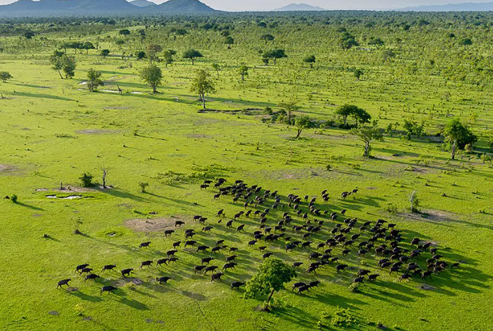 Boat safari on the Rufiji River in Nyerere National Park