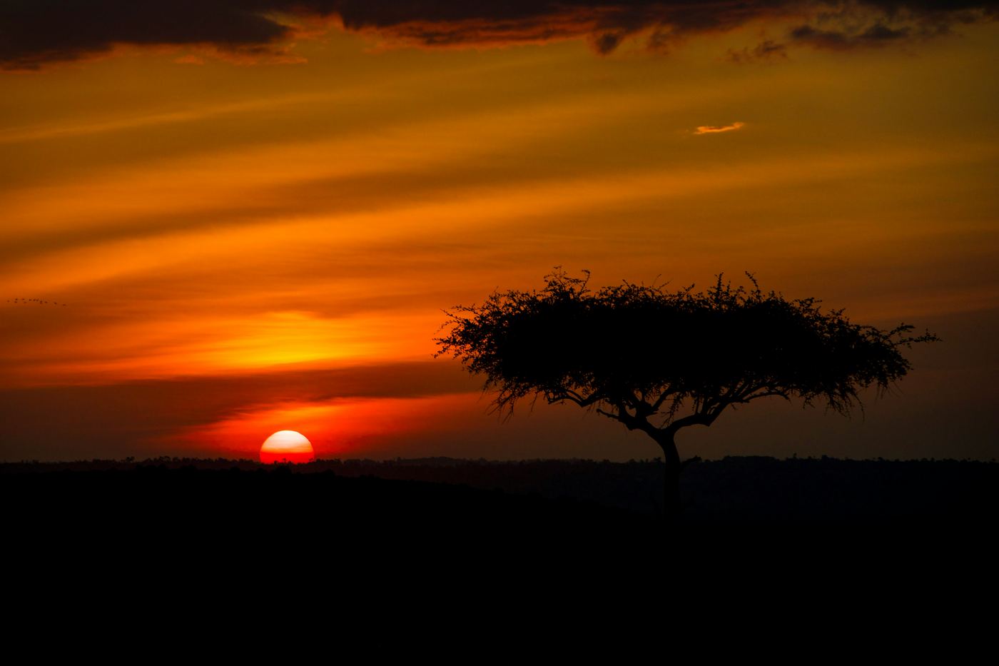Sunset over the remote southern circuit